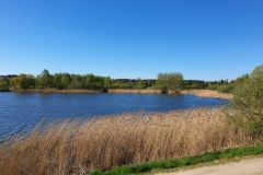 jezioro-dywickie-34