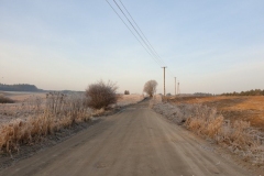 Droga w stronę Gutkowa